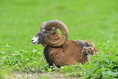 胃口立马被吊起来 传TGA 2024有两个重量级宣布