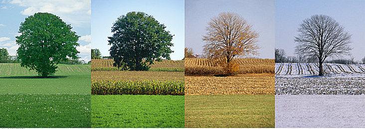 《太鼓达人：咚咚雷音祭》登陆主机和PC 11月7日发售